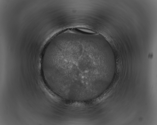 X0000091080350200708271240