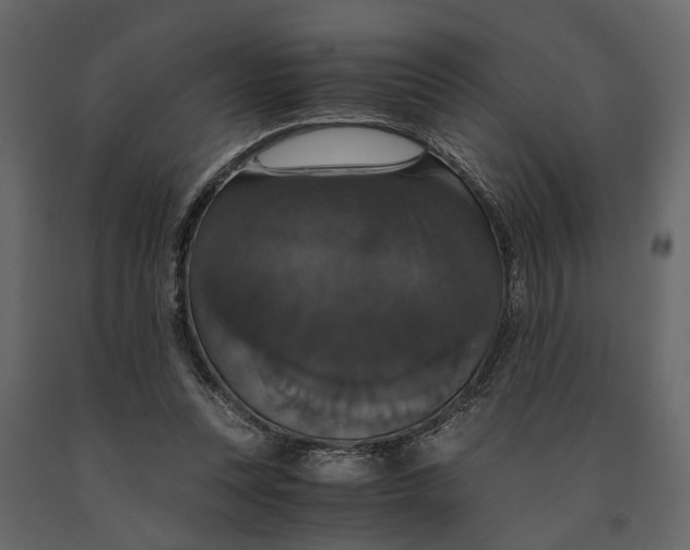 X0000091080351200708271240