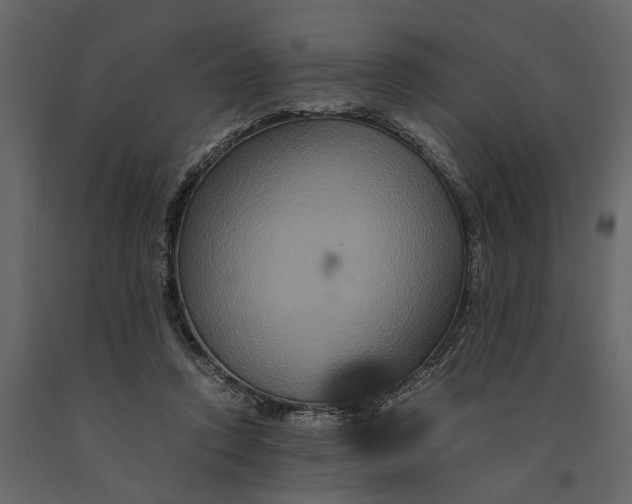 X0000091080354200708271240