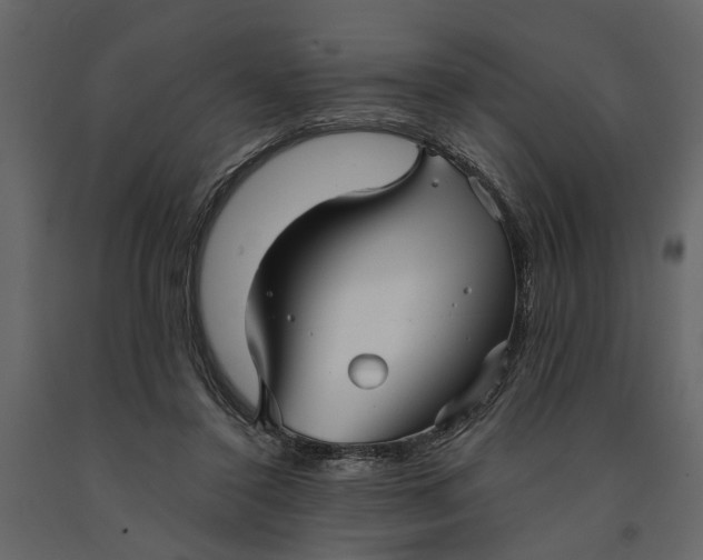 X0000091080356200708271240