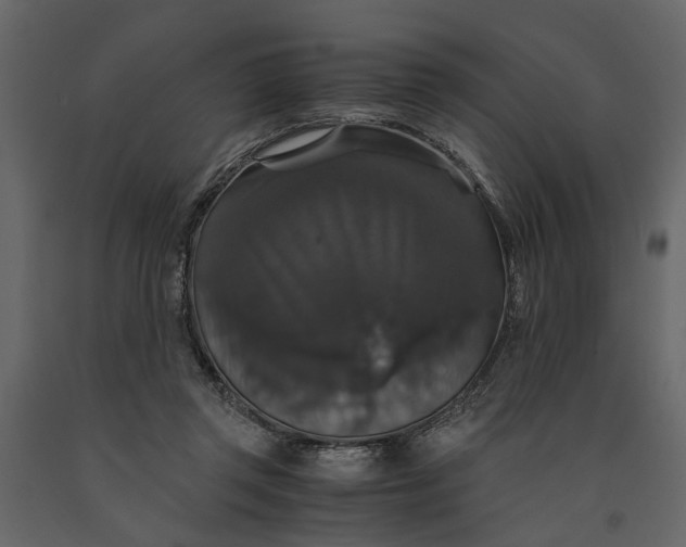 X0000091080357200708271240