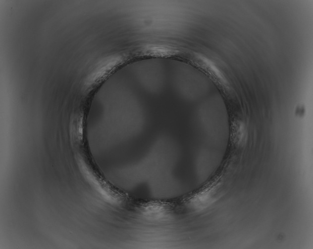 X0000091080358200708271240