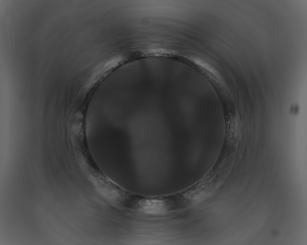 X0000091080361200708271240