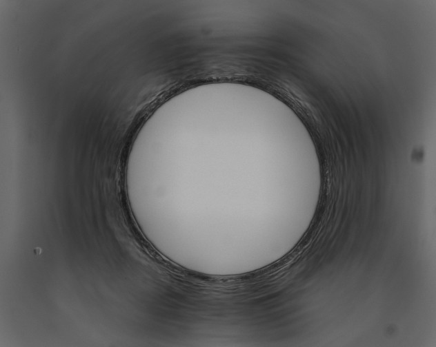 X0000091080362200708271240