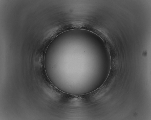 X0000091080364200708271241