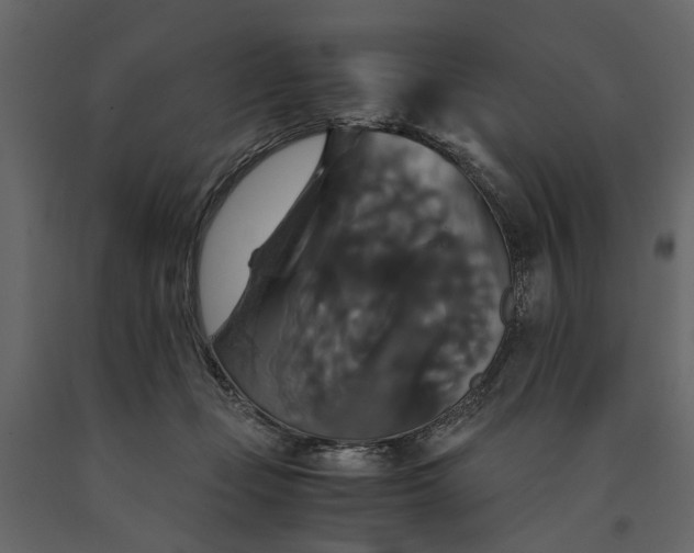 X0000091080365200708271241