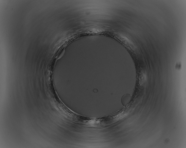 X0000091080366200708271241