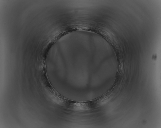 X0000091080367200708271241