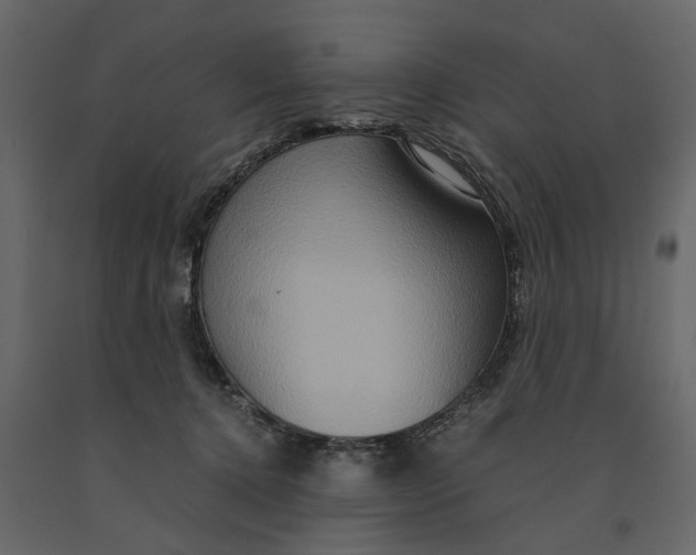 X0000091080368200708271241