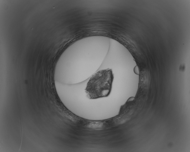 X0000091080369200708271241