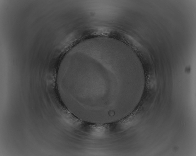 X0000091080370200708271241