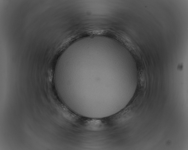 X0000091080374200708271241