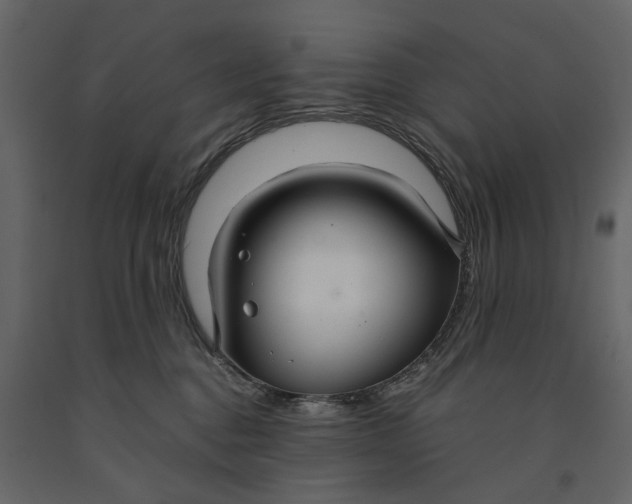 X0000091080376200708271241