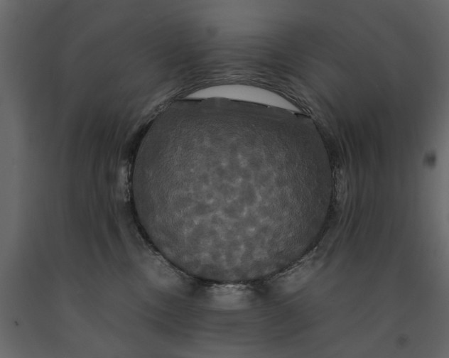 X0000091080378200708271241