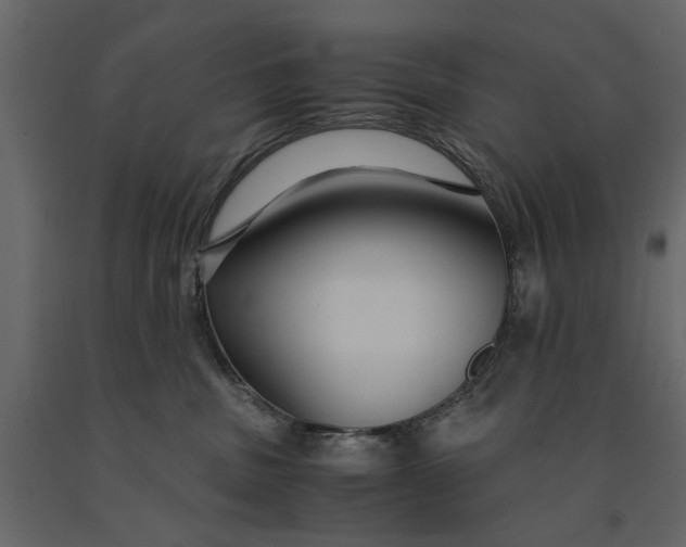 X0000091080379200708271241