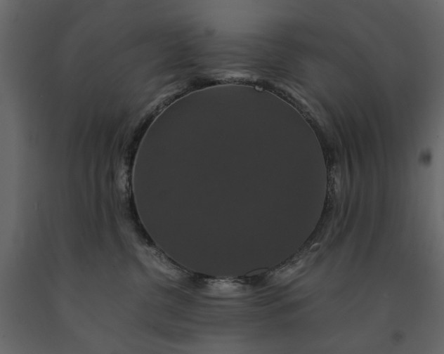 X0000091080380200708271241