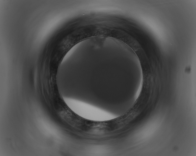 X0000091080382200708271241