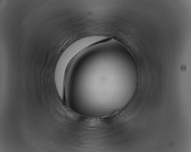 X0000091080384200708271241