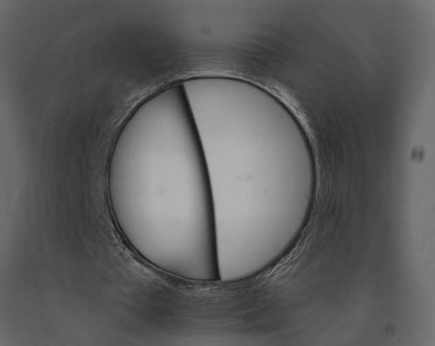 X0000091080385200708271240