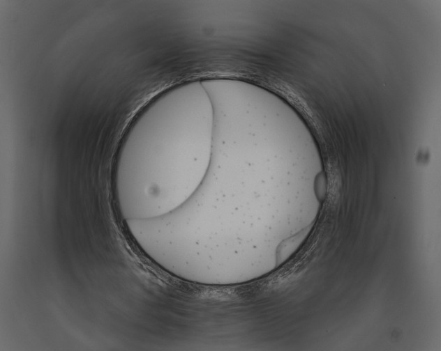 X0000091080386200708271240