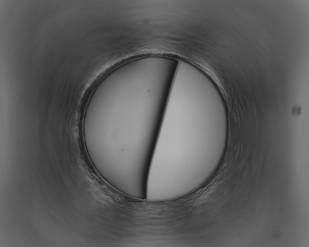 X0000091080387200708271240