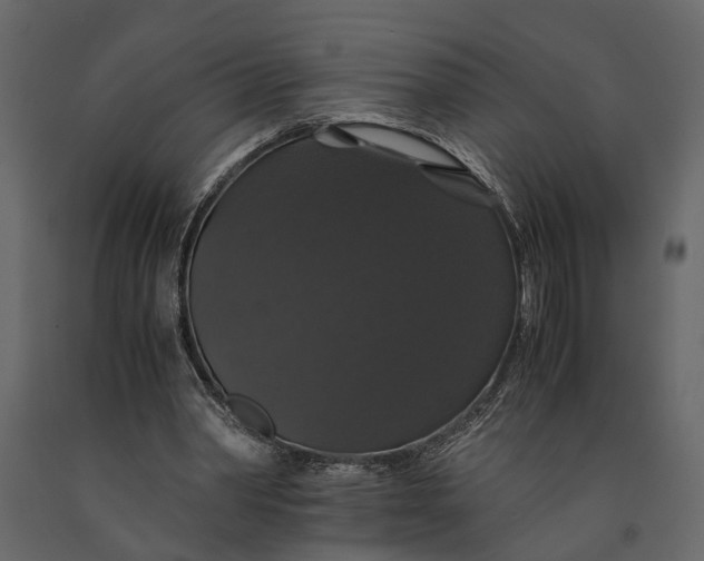 X0000091080390200708271240