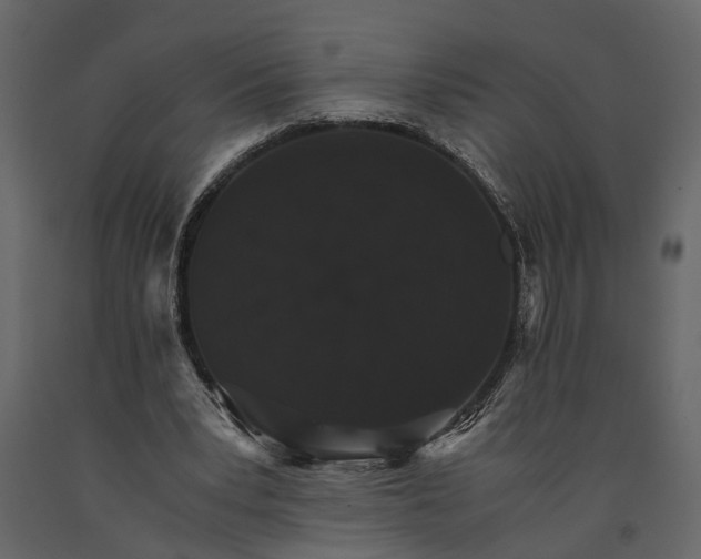 X0000091080391200708271240