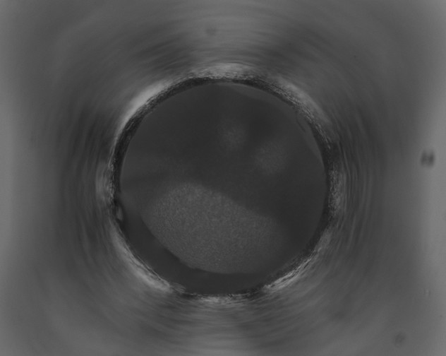 X0000091080392200708271240