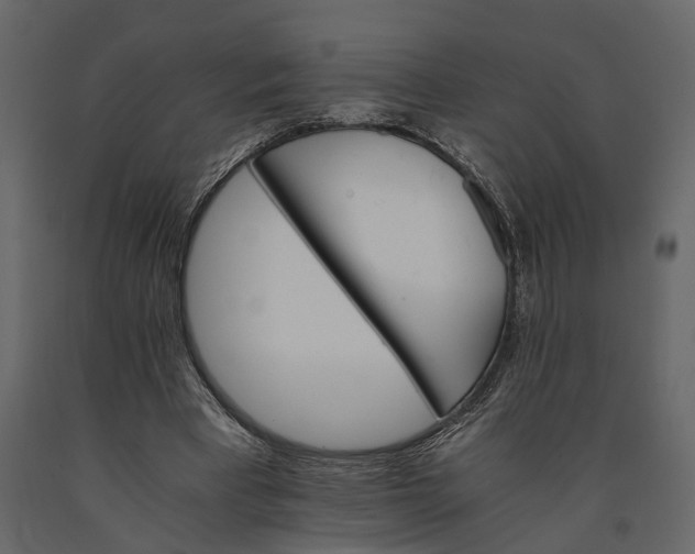 X0000091080393200708271240