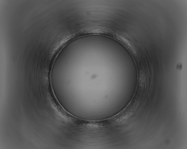 X0000091080394200708271240