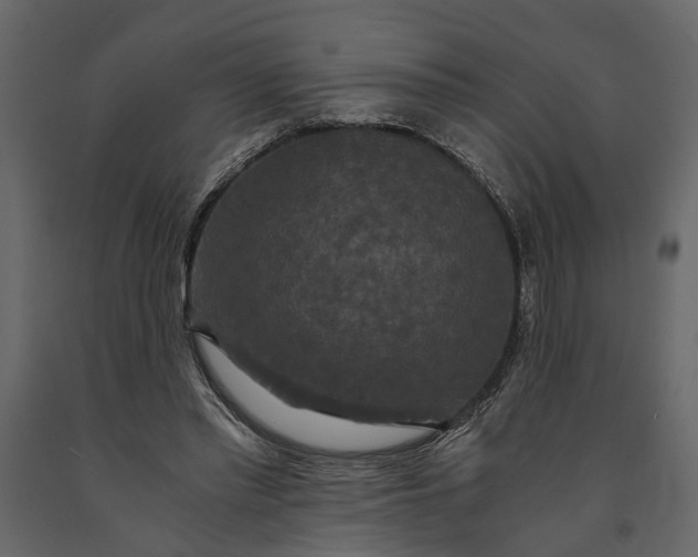 X0000091080397200708271240