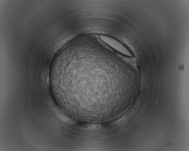 X0000091080398200708271240