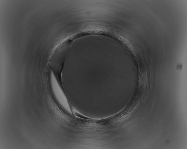 X0000091080399200708271240