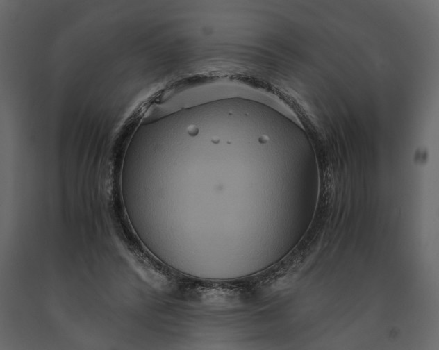 X0000091080400200708271240