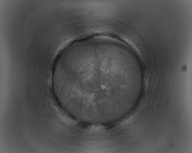 X0000091080403200708271240