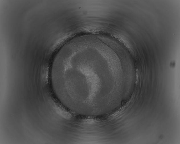 X0000091080404200708271240