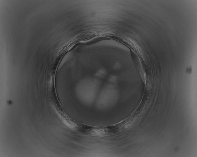 X0000091080405200708271240