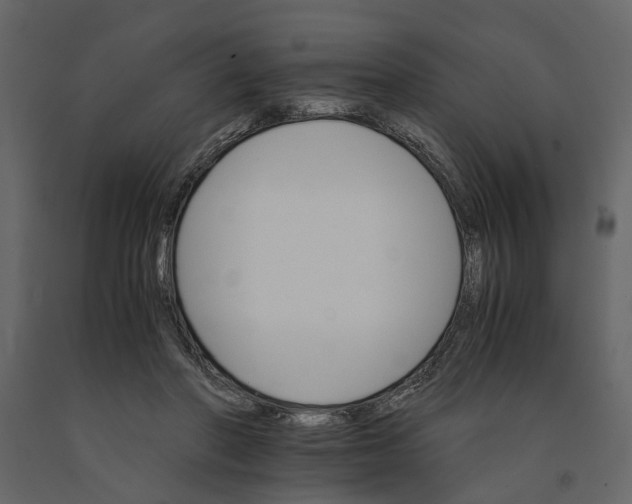 X0000091080406200708271240