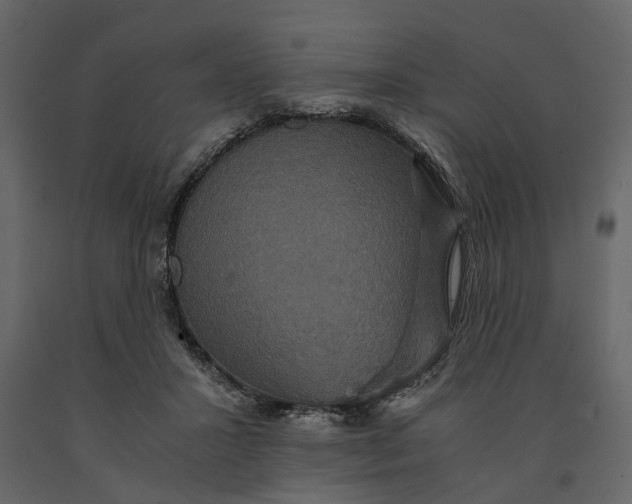 X0000091080407200708271240