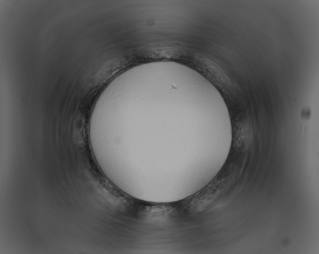 X0000091080414200708271240