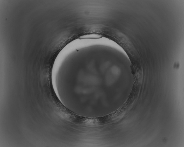 X0000091080415200708271240