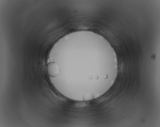 X0000091080418200708271240