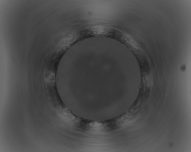 X0000091080419200708271240