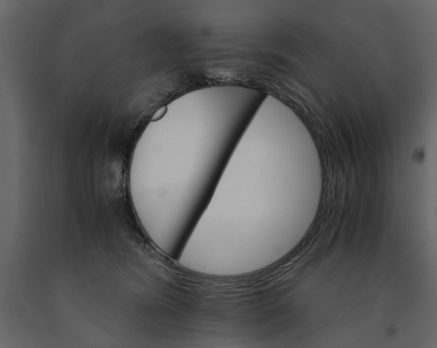 X0000091080420200708271240