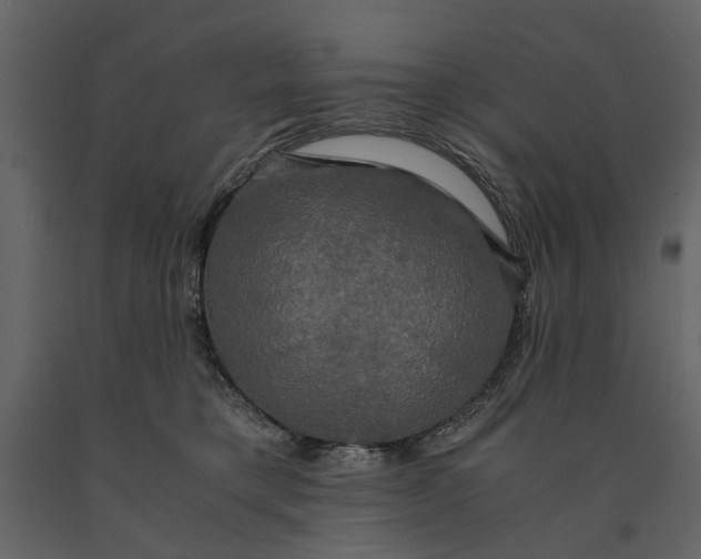 X0000091080421200708271240