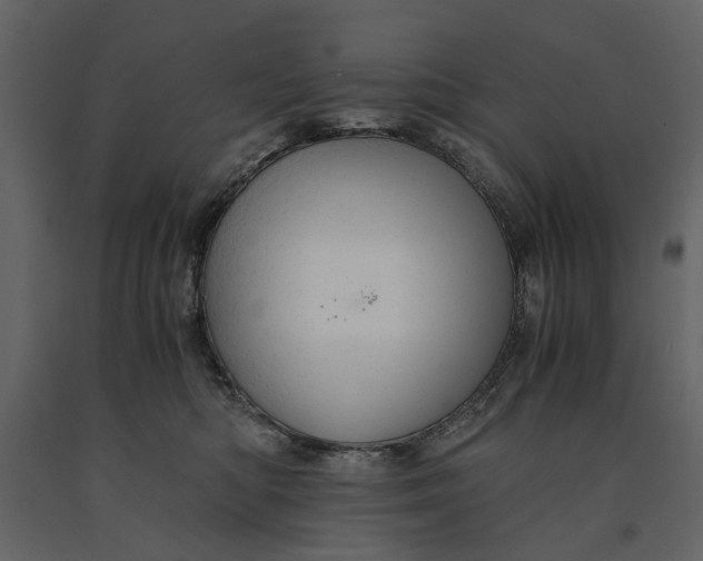 X0000091080422200708271240