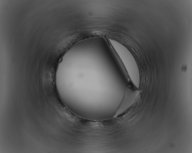 X0000091080424200708271240