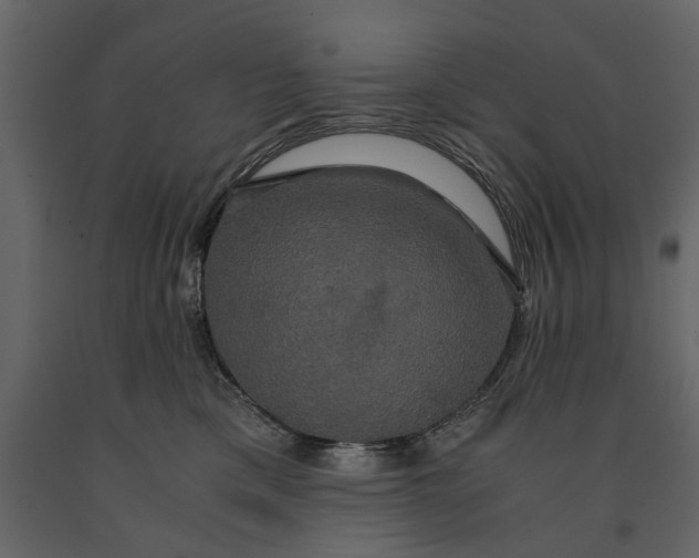 X0000091080425200708271240