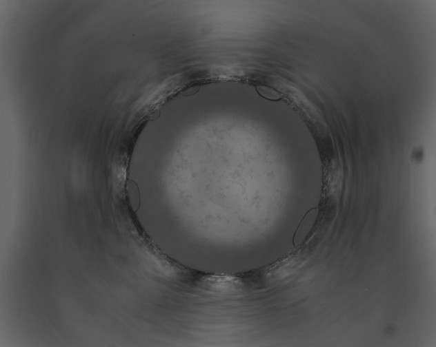 X0000091080427200708271240