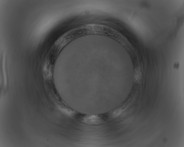 X0000091080431200708271240